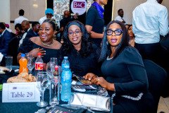 Oluseun-Awonuga-SAN-a-348